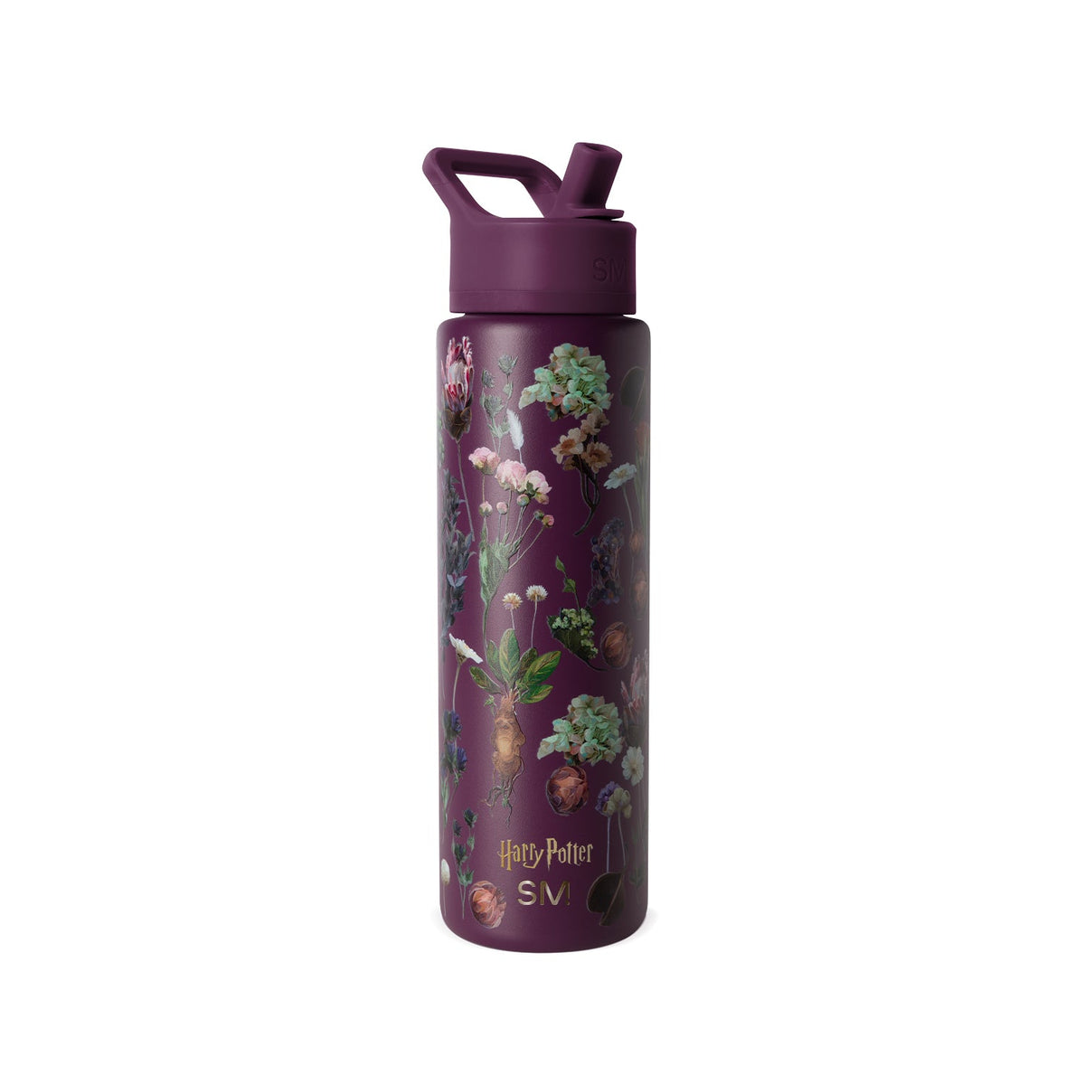 Summit Water Bottle with Straw Lid